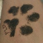 Profile Picture of Chris DeRose (@derose3343) on Instagram