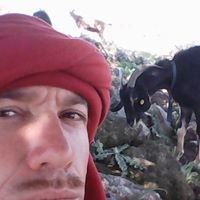 Profile Picture of Daniel Brosh (@danibrsh) on Twitter