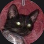 Andrew - Instagram Profile Picture of Andrew (@sankov4) on Instagram