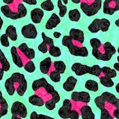 Profile Picture of Breanna Andrews (@@breandrews01) on Twitter