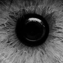 Profile Picture of Daniel Quintus (@daniel.quintus.7) on Facebook