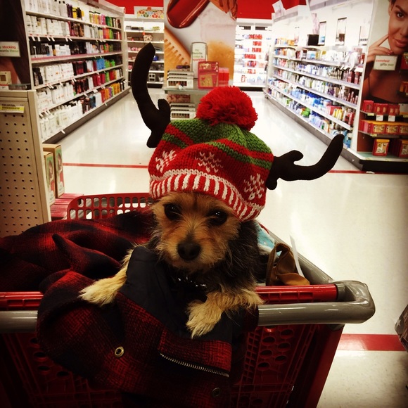 Profile Picture of Nelly Melgoza (@nmelgoza20) on Poshmark