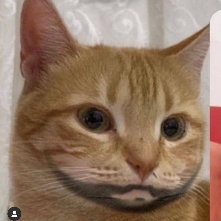 Profile Picture of amybutton27 (@@amybutton27) on Tiktok