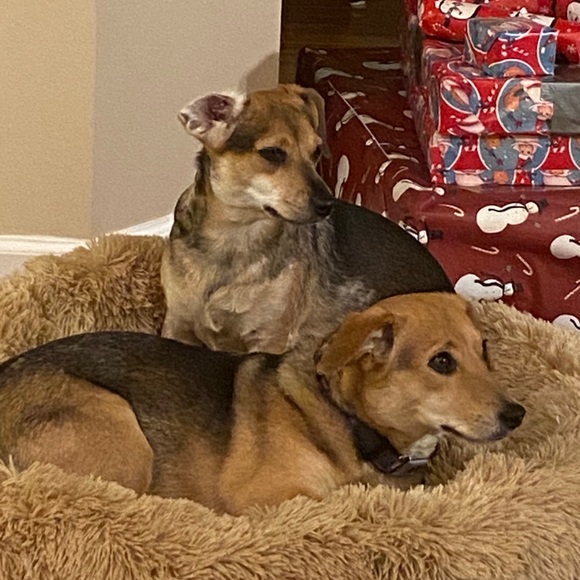 Profile Picture of Megan Nystrom (@4nystrom) on Poshmark