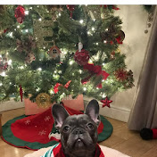 Profile Picture of Daniel Upcott (@danielupcott5439) on Youtube