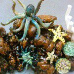 Profile Picture of Troy Kearns (@slackeraz) on Instagram