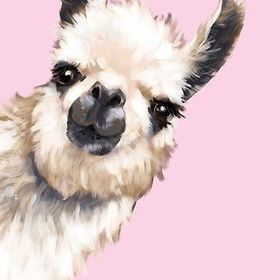 Profile Picture of galaxy llama (@lolaeflack) on Pinterest