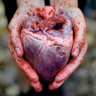 Andy Jade Slaughter - Twitter Profile Picture of Andy Jade Slaughter (@SatanicSpoon) on Twitter