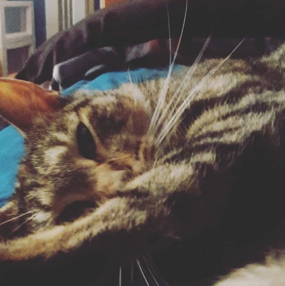 Profile Picture of Alexander Peryea (@peryeamonkey11) on Poshmark