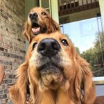 Profile Picture of John Haskin (@john.haskin.56) on Instagram