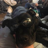 Profile Picture of Jeff Silva (@jeff-silva-27) on Quora