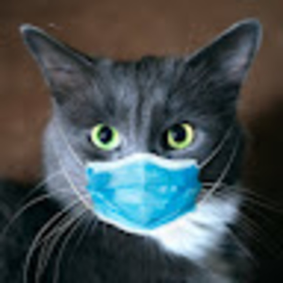 Profile Picture of Laurie Keck (@lauriekeck2003) on Poshmark