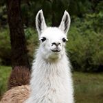 Profile Picture of Aaron Jon Estella (@aaronjonestella) on Instagram