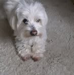 Profile Picture of Jeanine Carbon (@jeanine.carbon.37) on Facebook