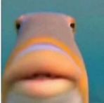 Profile Picture of Dom Simons (@Dom-Simons) on Facebook