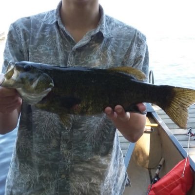 Profile Picture of 🇺🇸🇺🇸Bill D. Whal🇺🇸🇺🇸 (@RickyStevens71) on Twitter