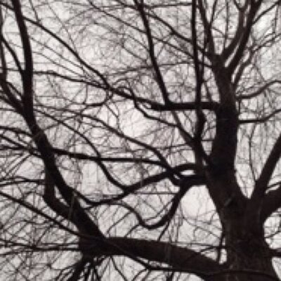 Lara - Twitter Profile Picture of Lara (@Lara_Elizabeth_) on Twitter