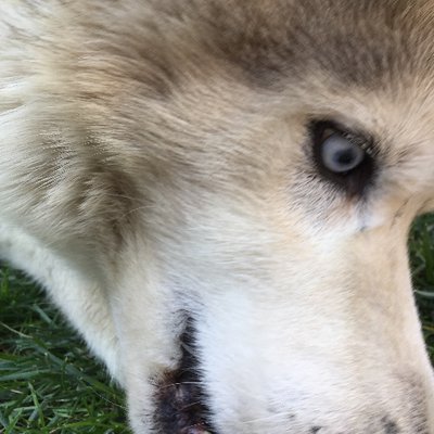 Profile Picture of Gloria E. Rodriguez (@GloriaERodrig15) on Twitter