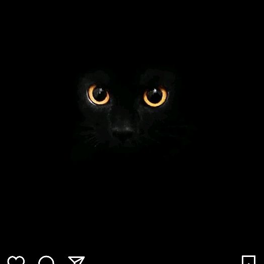 Profile Picture of Andrewgold (@andrewbarbosa77) on Tiktok