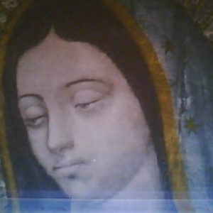 Profile Picture of Tracy Alvarado (@227643811) on Myspace