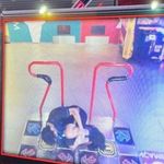 Profile Picture of IAN BRADFORD (@ian_bradford_) on Instagram