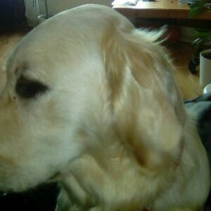 Profile Picture of Julia kwoka (@zuma1005) on Tiktok