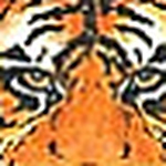 Profile Picture of Youcandoit (@youcandoit) on Flickr