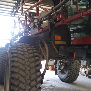 Profile Picture of Juan Rodrigez (@Juan-Rodrigez) on Facebook