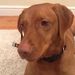 Profile Picture of Lucille Holmes (@lucillepholmes) on Pinterest
