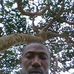 Profile Picture of Andrew Swee Jr. (@Andrew-Swee-Jr) on Facebook