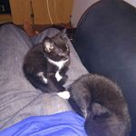 Profile Picture of Alex James Motley (@motleyalex) on Instagram