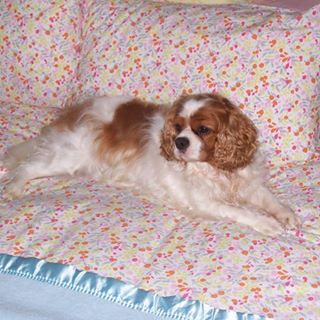 Profile Picture of Allan Porter (@allan.porter.98) on Facebook