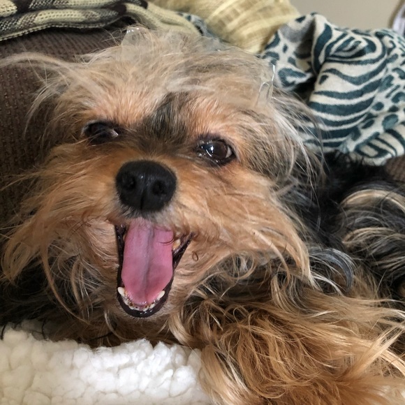 Malia Bryant - Poshmark Profile Picture of Malia Bryant (@maliabryant79) on Poshmark