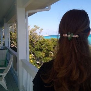 Profile Picture of Nancy (@wren7823) on Twitter