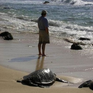 Profile Picture of David Siracusa (@231171438) on Myspace