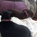 Profile Picture of Braden Anthony (@braden.anthony) on Instagram