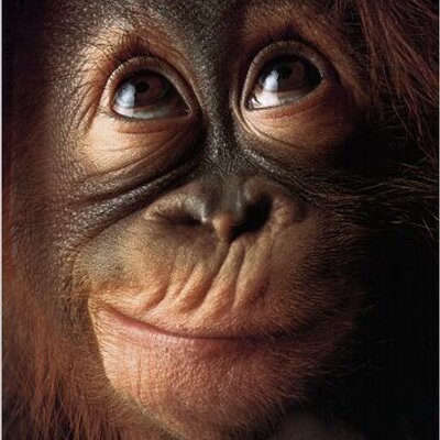 Profile Picture of Jeff Chaffee (@JeffChaffee) on Twitter