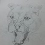 Profile Picture of Reid Jones (@reid.jones.988) on Instagram