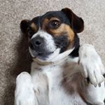 Profile Picture of Bryn Thomas Garbutt (@bryngarbutt30) on Instagram