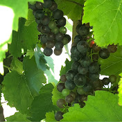 Profile Picture of Kara Hobbs (@KaraHobbs-lk8uy) on Youtube