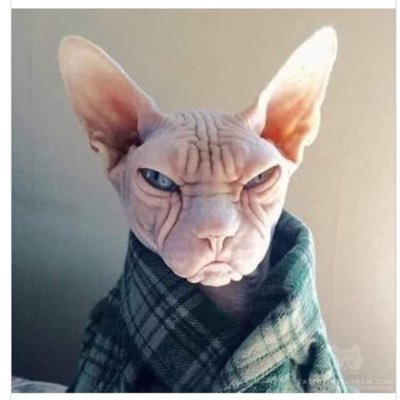 Profile Picture of Attota Sase (@attotasase1) on Twitter