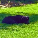 Profile Picture of Daniel Young (@Daniel-Young) on Facebook