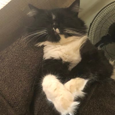 Profile Picture of Keith Roux (@roux_keith) on Twitter