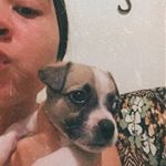 Profile Picture of 𝐵𝑟𝑢𝑐𝑒 𝐵𝑜𝑟𝑟𝑖𝑠🐶💙 (@dogbruce_cast) on Instagram