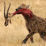 Profile Picture of Andrew Gillham (@andrew.gillham) on Instagram