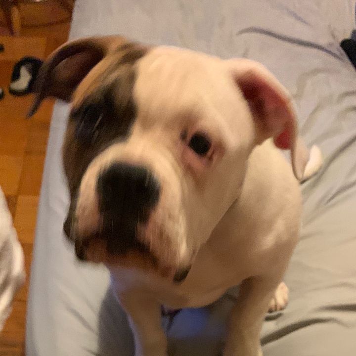 Profile Picture of 1&only (@roseduvall) on Tiktok