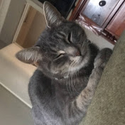 Profile Picture of Amanda Mayer (@amandamayer1423) on Youtube