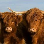 Profile Picture of Chaparro Andres Jesusito (@chaparroandres) on Instagram