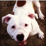 Profile Picture of Hank James (@hanky_panky_) on Instagram