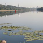 Profile Picture of Lavant (@lavantbradgr) on Instagram